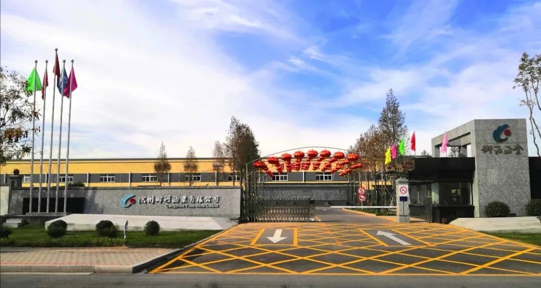 沧州御河酒业 - 大铁狮系列白酒